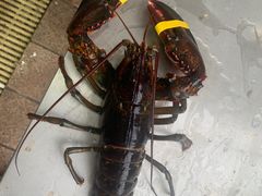-盆满钵满·国家非遗传承(云台店)
