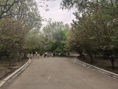 -长白岛森林公园