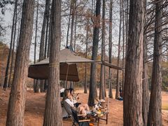 -青龙山国家森林公园