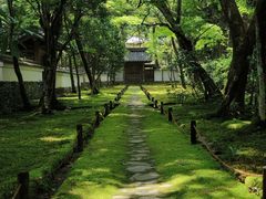 -西芳寺(苔寺)