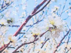 -北京明城墙遗址公园