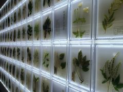 -广东中医药博物馆