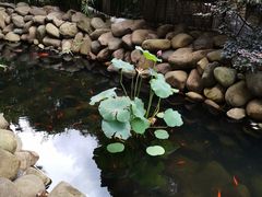 景观位-马勒别墅·中餐厅