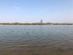 -灞河西岸滨河公园