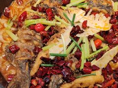 -老板恋上鱼(印象城店)