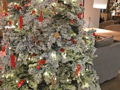 -长春藤咖啡(北园店)