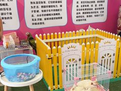 -巴黎春天(陕西路店)