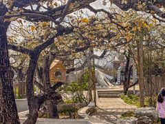 -丽泽山庄·生态怀柔菜·虹鳟鱼(红螺寺店)