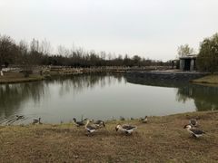 -西安浐灞国家湿地公园
