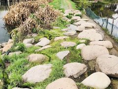 -石塘人家