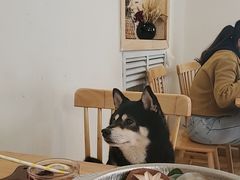 -柴の食堂·日式家庭料理·熊之肆(大学路店)