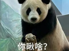 -食德喜·阳山鸡王食研基地