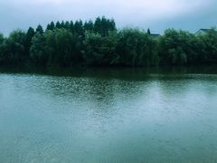 -塘栖枇杷特色园区