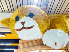 -帕帕拉兹宠物(亚洲旗舰店)