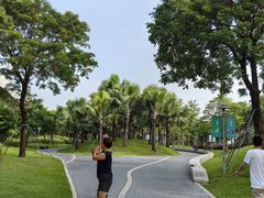 -宝安西湾红树林湿地公园