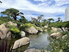 -罗红摄影艺术馆