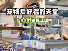-翊宠yipet猫狗购宠庄园犬舍•猫舍