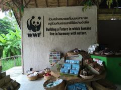 -大象粑粑造纸公园