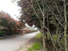 -佛手湖郊野公园