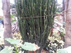 android_upload_pic-龙达温泉生态城