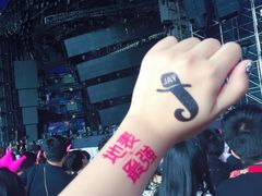 -南京奥林匹克体育中心-体育馆