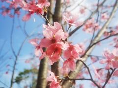 -东部华侨城