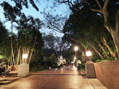 -九龙公园