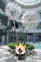 -北京科学中心儿童乐园