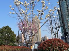 -哥老官重庆美蛙鱼头(西湖银泰十一哥店)