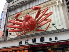 -蟹道乐(道顿堀本店)
