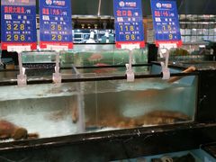 水产区-尚海豆捞(乐虹坊店)