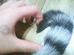 -小时光咖啡馆(开森度假森林店)