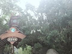 -东部华侨城