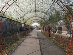 -嬉乐湾休闲旅游区