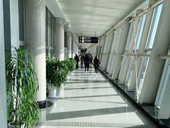 -威海大水泊国际机场