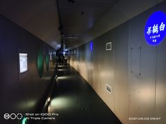 -白鹤梁水下博物馆