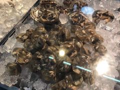 -铭聚章鱼土笋冻(松柏店)