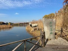 -溱湖国家湿地公园