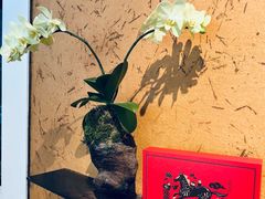 -微热山丘(台北民生公园门市店)