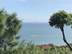 -青岛海滨风景区小鱼山