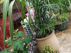 -南沙十九涌渔人码头-南门