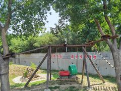 -石家庄市动物园