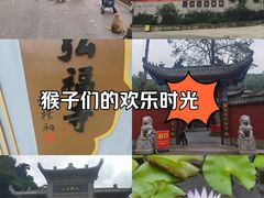 -黔灵山公园