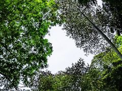 -同里国家湿地公园