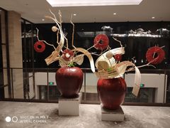 -广州白天鹅宾馆