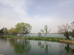 -金银湖国家城市湿地公园