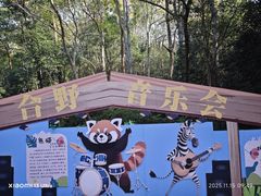 -合肥野生动物园