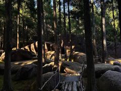 -玉苍山国家森林公园