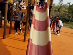 -枫香湖儿童公园