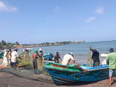 -尼甘布海鲜市场